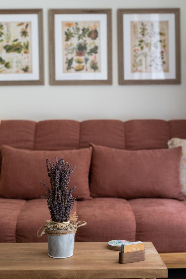 Le Provencal De Coup De Coeur Appartements Valensiya Dış mekan fotoğraf